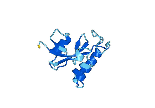 Recombinant Human PIN1 Protein, N-GST