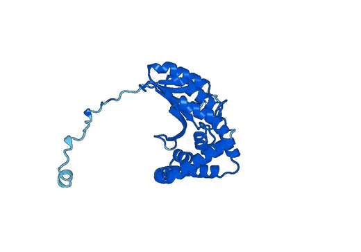 Recombinant Human PITRM1, N-His