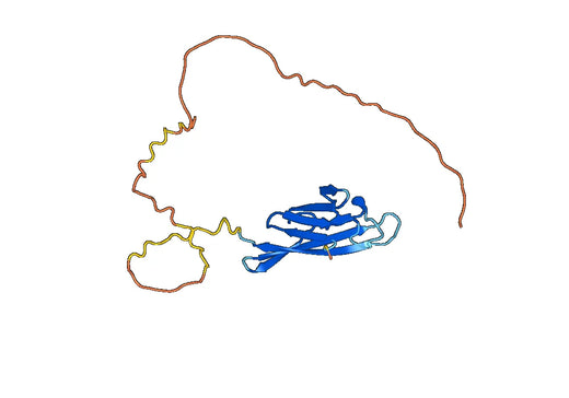 Recombinant Human PLAC1 Protein, N-GST & C-His