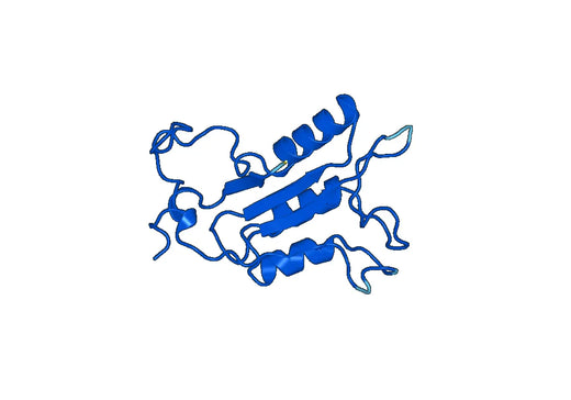 Recombinant Human PLCB3, N-His