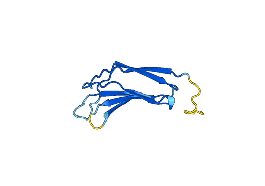 Recombinant Human PLCZ1, N-GST