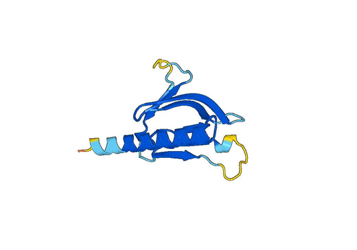 Recombinant Human PLEKHO1 Protein, N-His