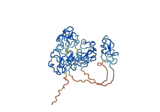Recombinant Human PLG/Plasminogen Protein, N-His
