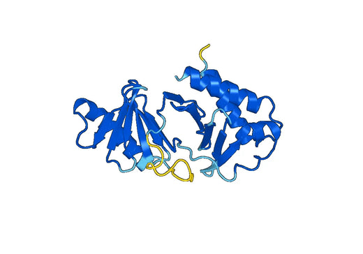 Recombinant Human PLK3 Protein, N-His