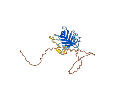 Recombinant Human PLSCR4, N-His