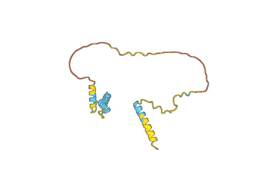 Recombinant Human PNOC, N-His