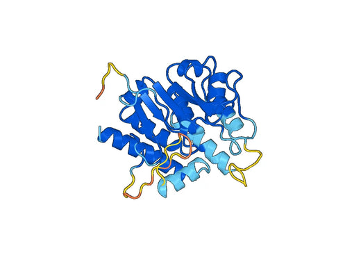 Recombinant Human PNPLA3 Protein, N-His