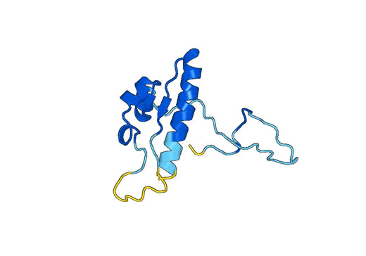 Recombinant Human POFUT2 Protein, N-His