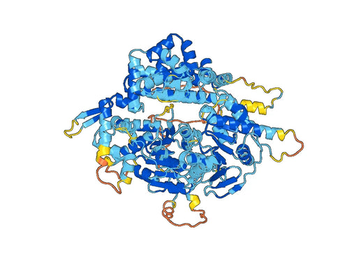 Recombinant Human POLQ Protein, N-His-SUMO