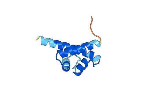 Recombinant Human POU4F2 Protein, N-His-SUMO