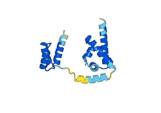 Recombinant Human POU5F1/OCT3/OCT4, N-His