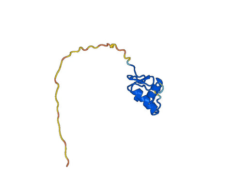 Recombinant Human PPARA, N-His