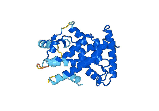 Recombinant Human PPARG Protein, N-His