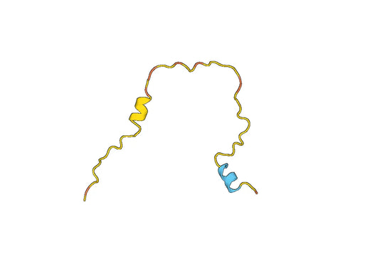 Recombinant Human PPDPF Protein, N-His-SUMO