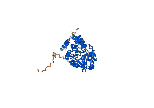 Recombinant Human PPP1CA, N-His