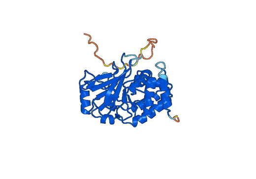 Recombinant Human PPP1CB Protein, N-His