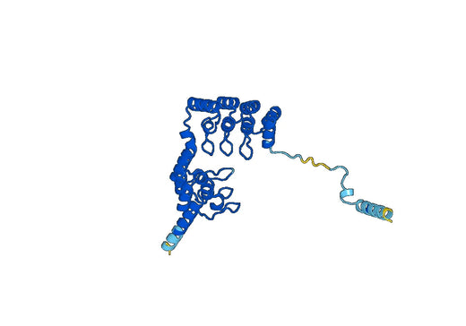 Recombinant Human PPP1R12A Protein, N-His