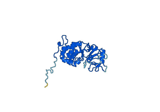 Recombinant Human PPP3CA, N-His