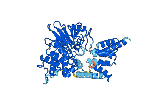 Recombinant Human PPP5C Protein, N-His