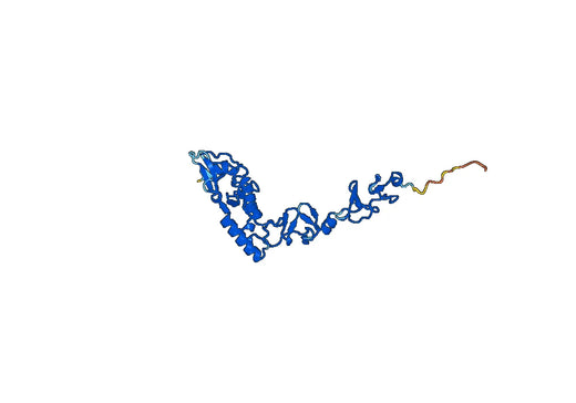 Recombinant Human PRICKLE1 Protein, N-His