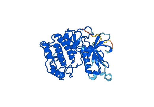 Recombinant Human PRKCD, N-His