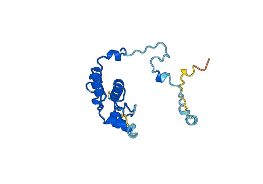 Recombinant Human PRKCZ, N-His