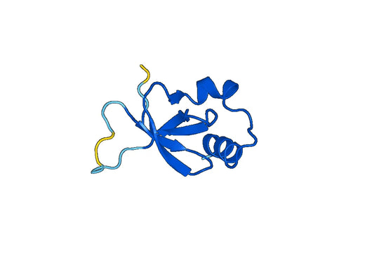 Recombinant Human PSIP1 Protein, N-His-SUMO