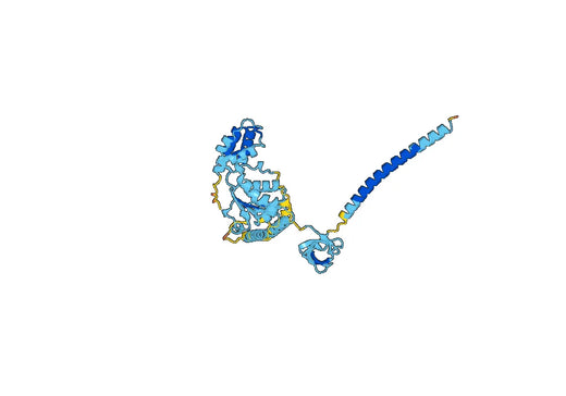 Recombinant Human PSMC6, N-His