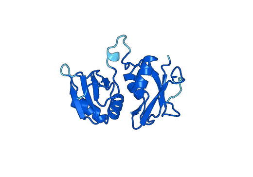 Recombinant Human PTBP3 Protein, N-His