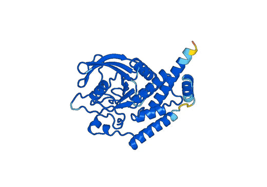 Recombinant Human PTPN22 Protein, N-His