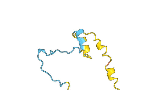 Recombinant Human PTTG1 Protein, N-His-SUMO