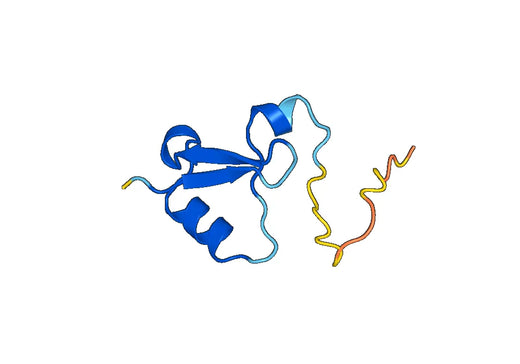 Recombinant Human PYGO2 Protein, N-His-SUMO