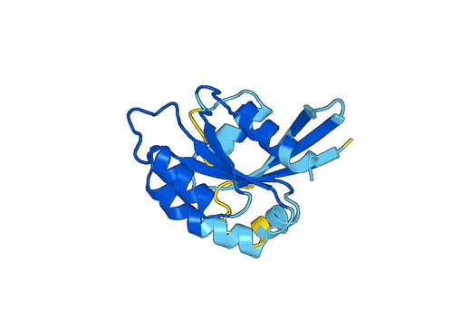 Recombinant Human RAB12 Protein, N-His