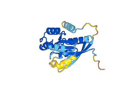 Recombinant Human RAB37, N-His