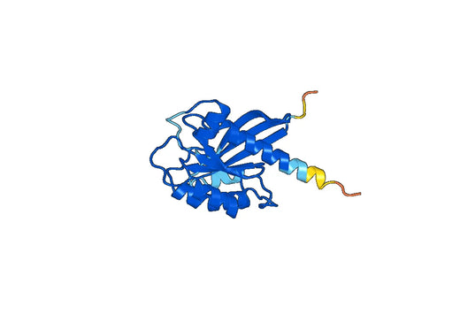 Recombinant Human RAB9A Protein, N-His