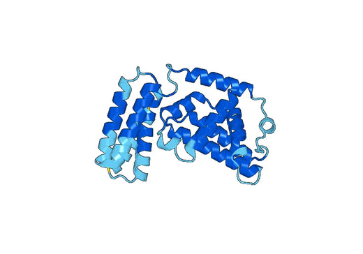 Recombinant Human RABGEF1 Protein, N-His