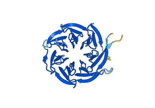 Recombinant Human RACK1 Protein, N-His-MBP