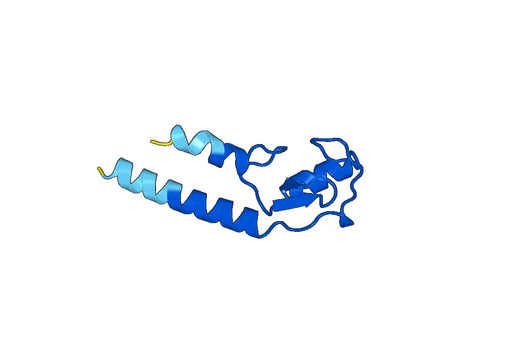 Recombinant Human RAD18 Protein, N-GST & C-His