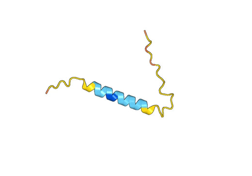 Recombinant Human RAD51AP1 Protein, N-His-SUMO