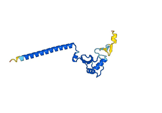 Recombinant Human RASSF6 Protein, N-His