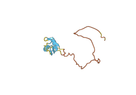 Recombinant Human RBM3, N-His