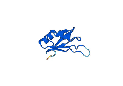 Recombinant Human RBM8A Protein, N-His-SUMO
