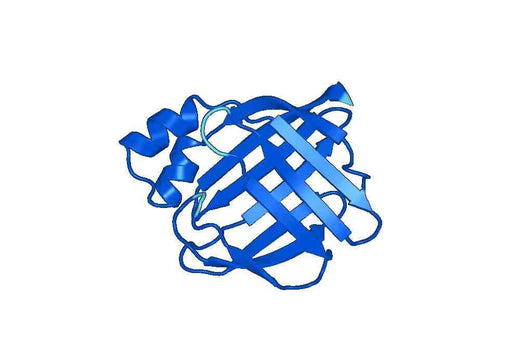 Recombinant Human RBP5, N-His