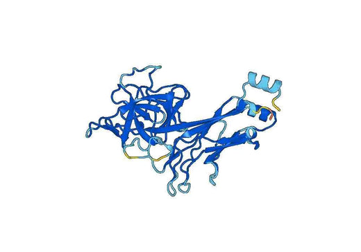 Recombinant Human RBPJ Protein, N-His