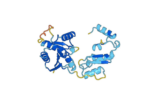 Recombinant Human RECQL4 Protein, N-His