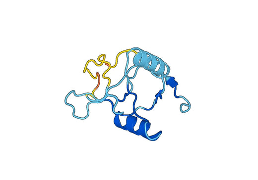Recombinant Human REG4, N-His