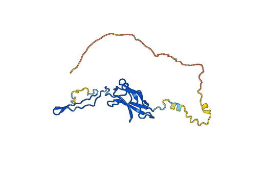 Recombinant Human RELB, N-His
