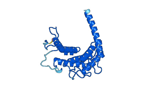 Recombinant Human RENBP, N-His