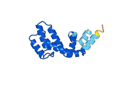 Recombinant Human RGS17 Protein, N-His