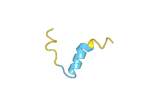 Recombinant Human RLN2 Protein, N-His-SUMO